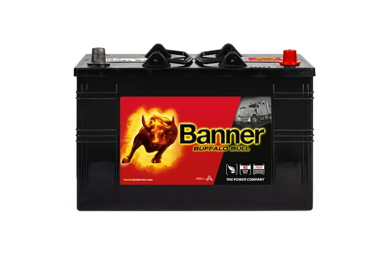 Banner 010610110101
