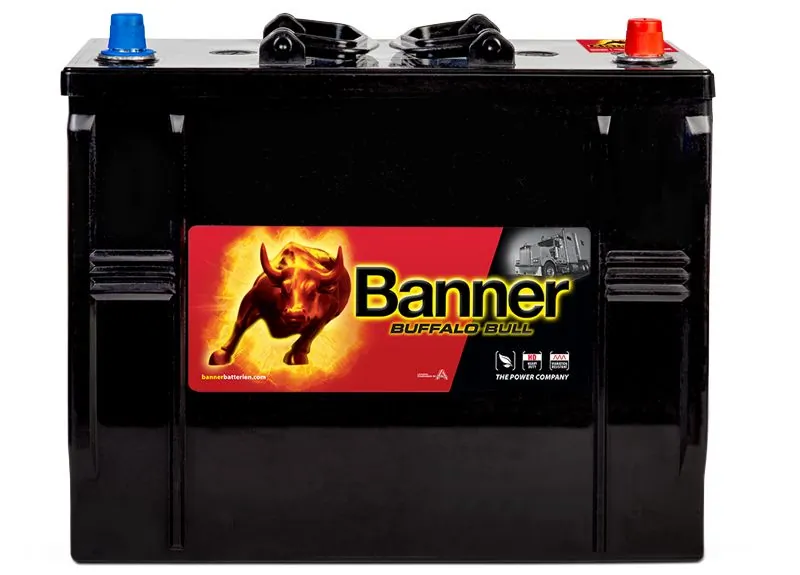 Banner 010625110101