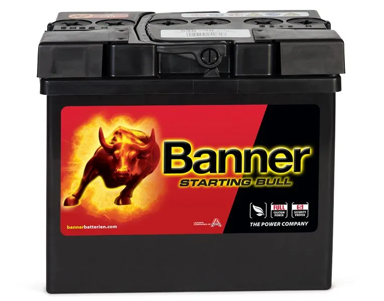 Banner 010530300101