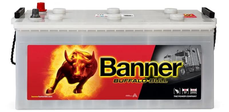 Banner 010725110101