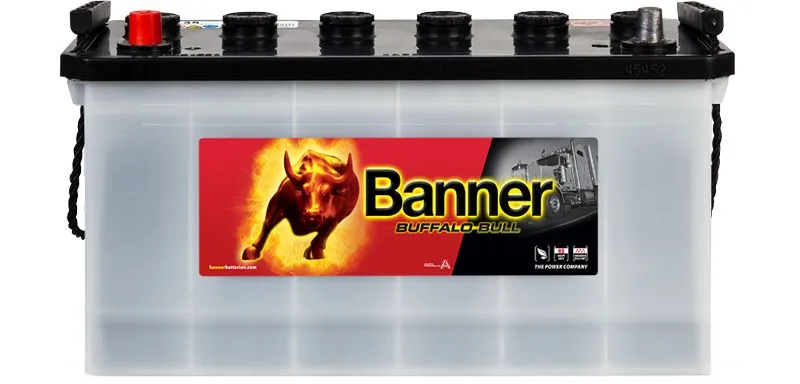 Banner 010600350101