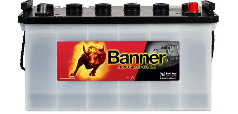 Banner 010600260101