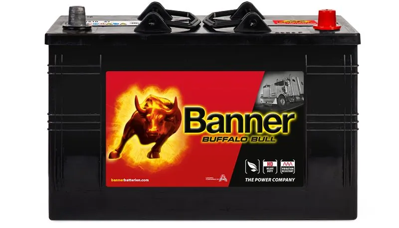 Banner 010610470101