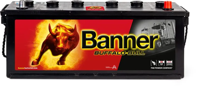 Banner 010632110101