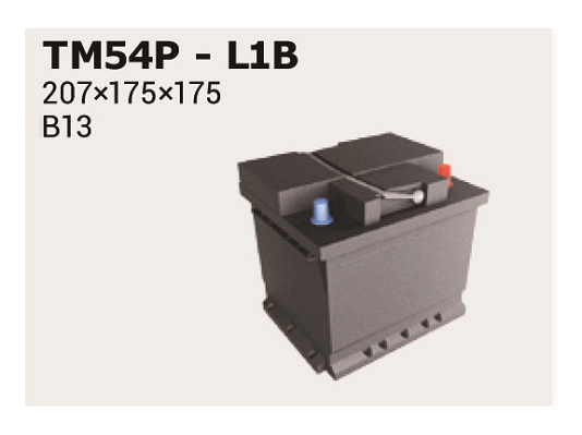 IPSA TM54P