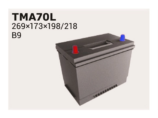 IPSA TMA70L