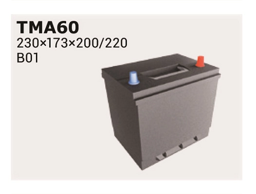 IPSA TMA60