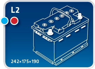 IPSA TME55