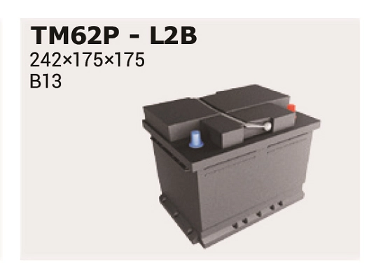 IPSA TM62P