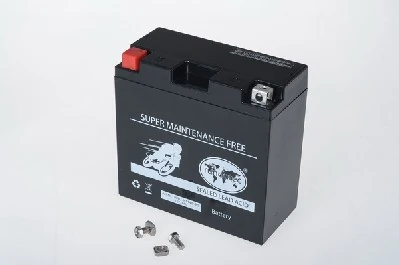 IPSA TMBA51293