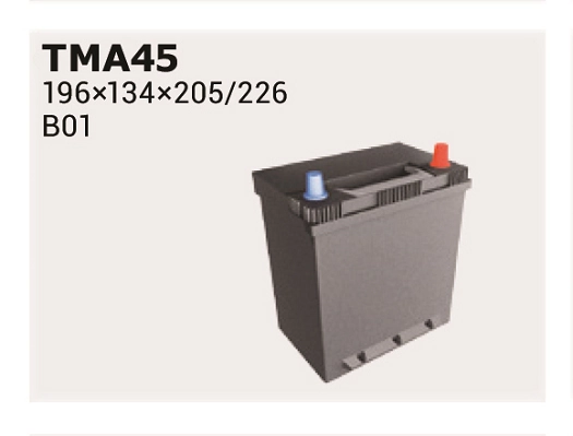 IPSA TMA45