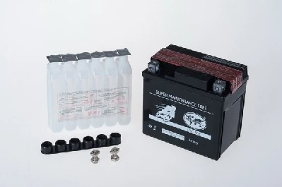 IPSA TMBA50412