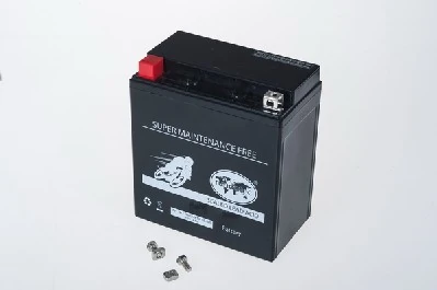 IPSA TMBA81600