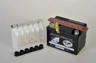 IPSA TMBA50411