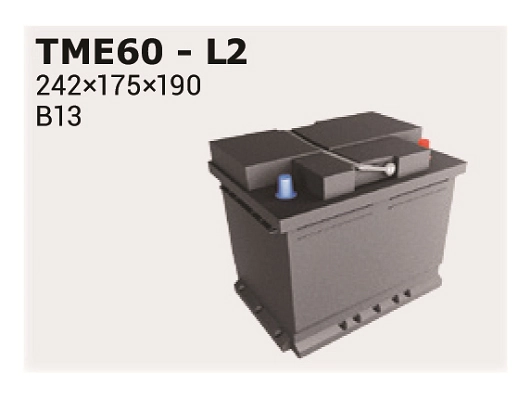IPSA TME60