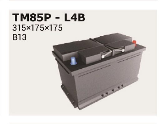 IPSA TM85P