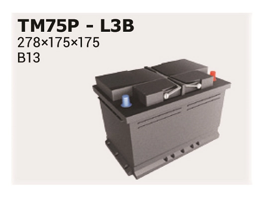 IPSA TM75P