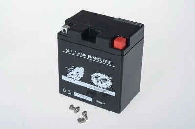 IPSA TMBA51112