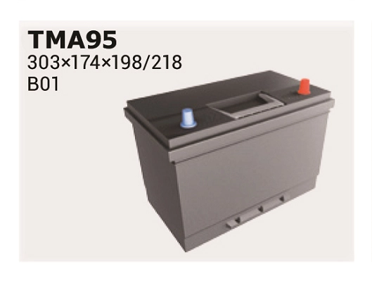 IPSA TMA95