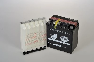 IPSA TMBA81601