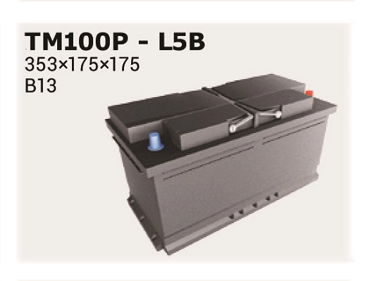 IPSA TM100P