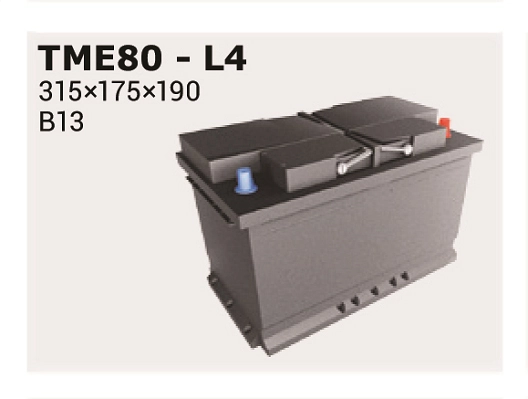 IPSA TME80