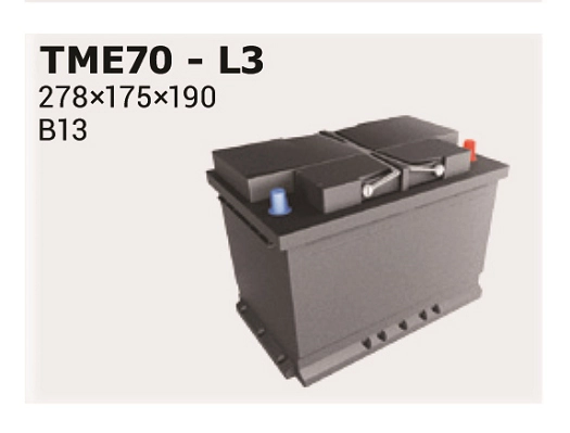 IPSA TME70