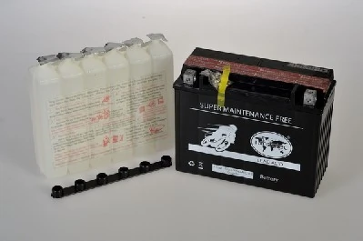 IPSA TMBA82400