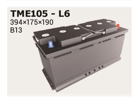 IPSA TME105