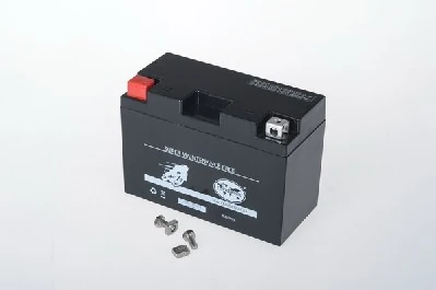 IPSA TMBA50801