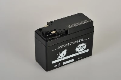 IPSA TMBA50303