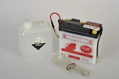 IPSA TMBA00495