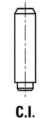 IPSA VG000100