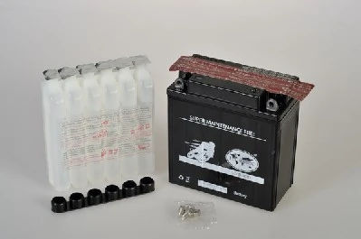 IPSA TMBA50512