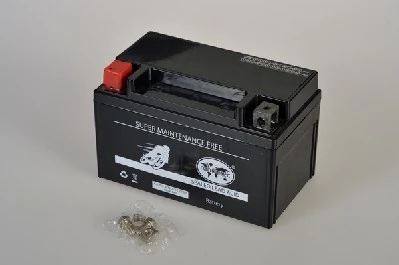 IPSA TMBA50922