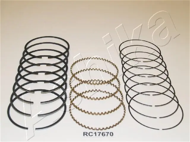 ASHIKA 34-17670