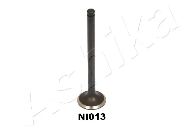 ASHIKA 15NI013