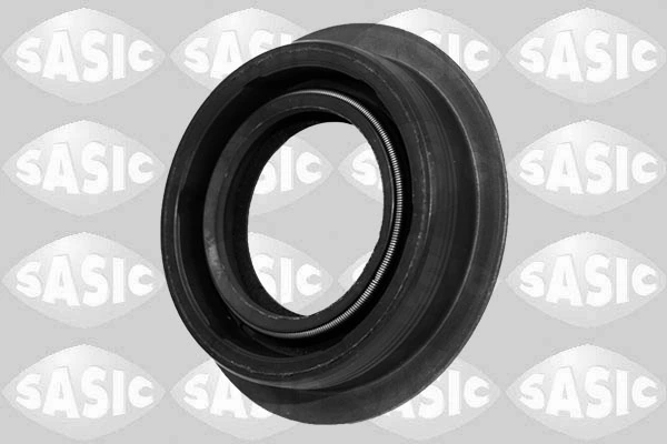 SASIC 1950013