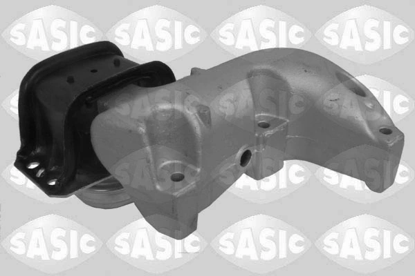 SASIC 2700061