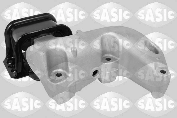 SASIC 2700076