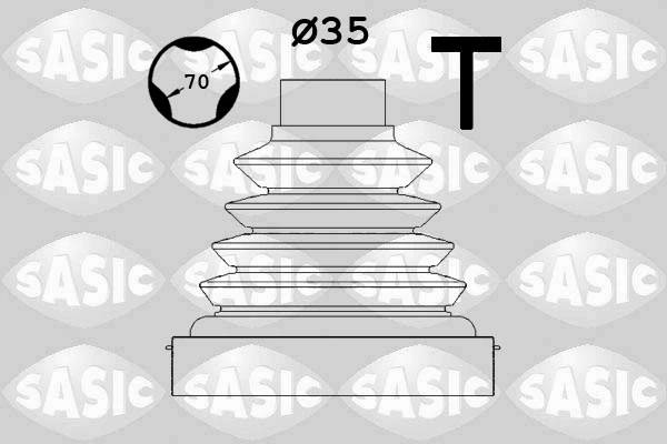 SASIC 1900021
