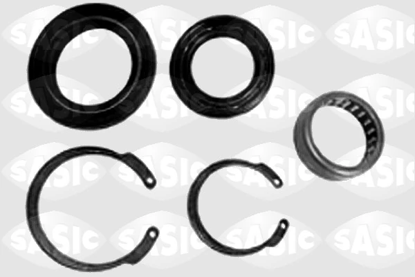 SASIC 0474024QX