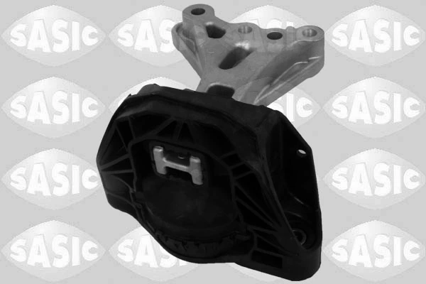 SASIC 2700079