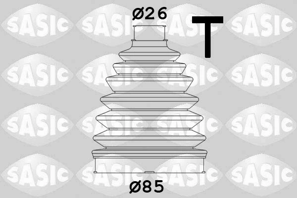 SASIC 1904021