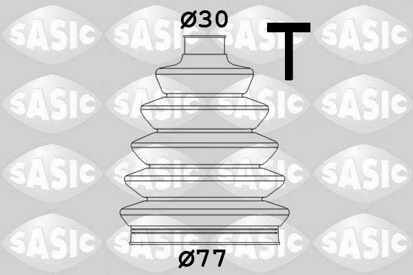SASIC 1900009