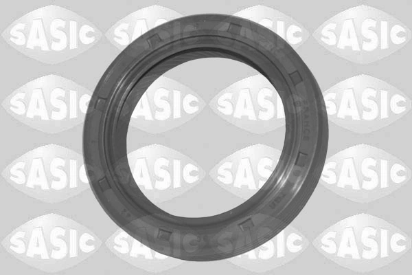 SASIC 1954015