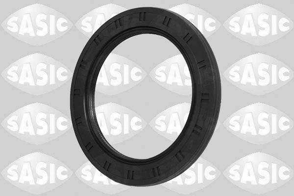SASIC 1954013