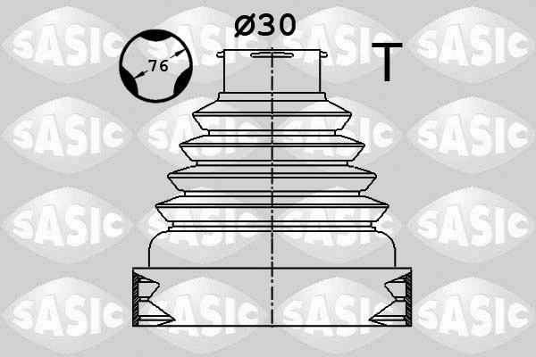 SASIC 1900038