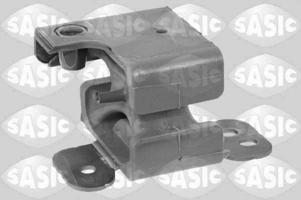 SASIC 2954010