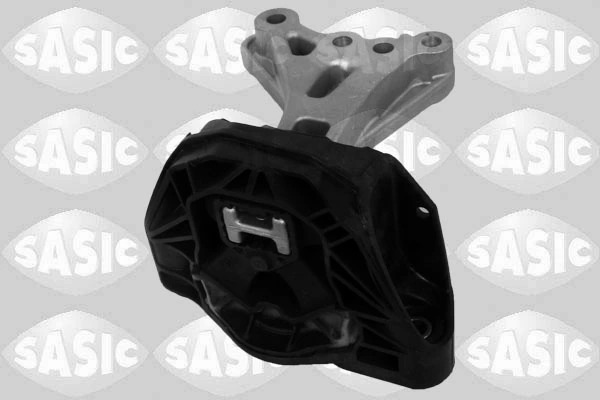 SASIC 2700078